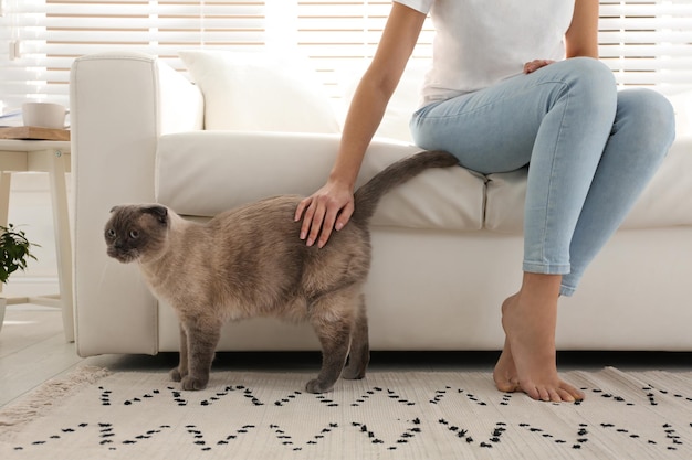 Mujer joven con lindo gato en casa Mascota esponjosa