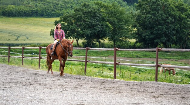 mujer joven, llevando, camisa, equitación, caballo marrón, en, arena, paddock, por, cerca de madera