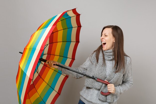Mujer joven loca en suéter gris, bufanda gritando, sosteniendo paraguas de colores aislado sobre fondo gris. Estilo de vida de moda saludable, personas emociones sinceras, concepto de estación fría. Simulacros de espacio de copia.
