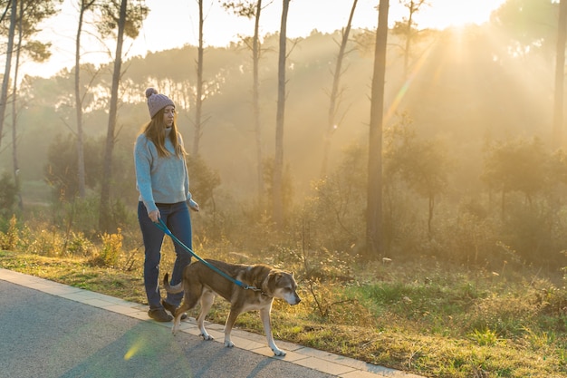 Mujer joven paseando a su perro en la naturaleza con los rayos del sol de la mañana cálido resplandor y largas sombras