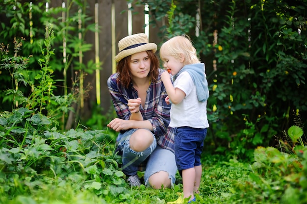 Mujer joven y pequeñas bayas lindas de la cosecha del niño pequeño en el jardín. Familia disfrutando de la cosecha de verano.