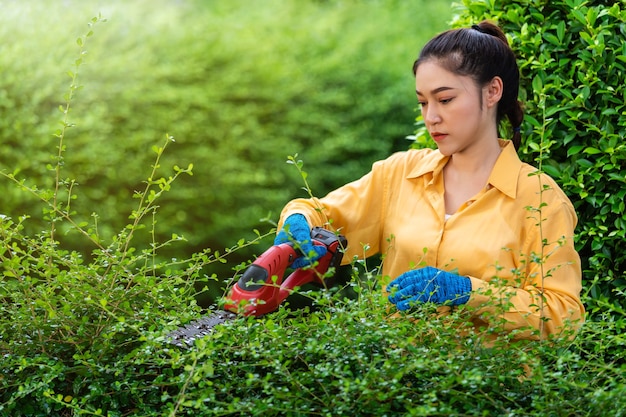 Mujer joven con planta de corte y recorte de setos eléctricos inalámbricos en el jardín de casa