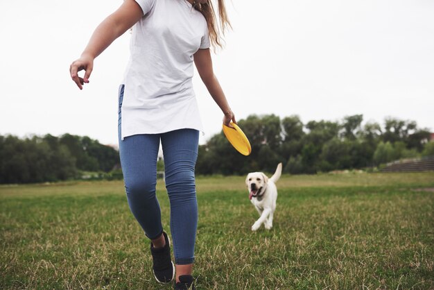 Mujer joven que juega con su labrador en un parque. Ella arroja el disco amarillo del frisbee. Perro intenta atraparlo