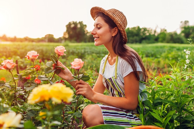 Mujer joven que recolecta las flores en jardín. Mujer de mediana edad que huele y admira rosas.