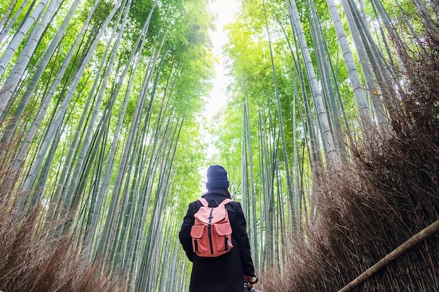 Mujer joven que viaja en Arashiyama Bamboo Grove, feliz viajero asiático mirando Sagano Bamboo Forest. Hito y popular para las atracciones turísticas en Kyoto, Japón. Concepto de viaje de Asia
