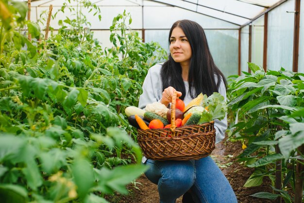 Mujer joven recogiendo verduras de invernadero