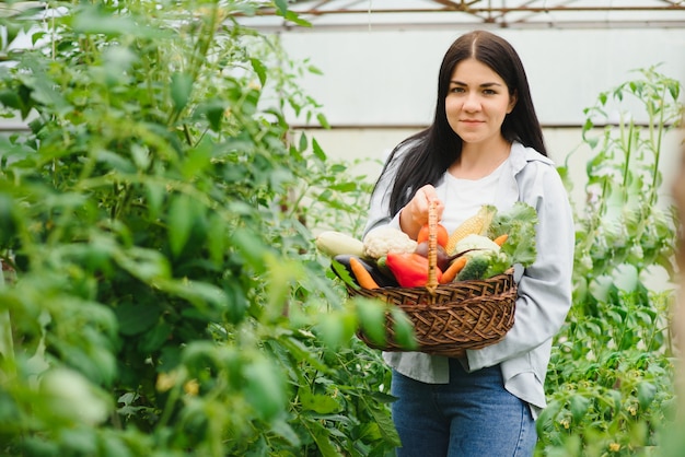 Mujer joven recogiendo verduras de invernadero