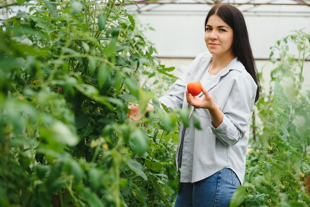Mujer joven recogiendo verduras de invernadero
