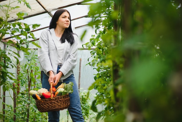 Mujer joven recogiendo verduras de invernadero