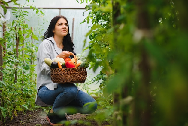 Mujer joven recogiendo verduras de invernadero