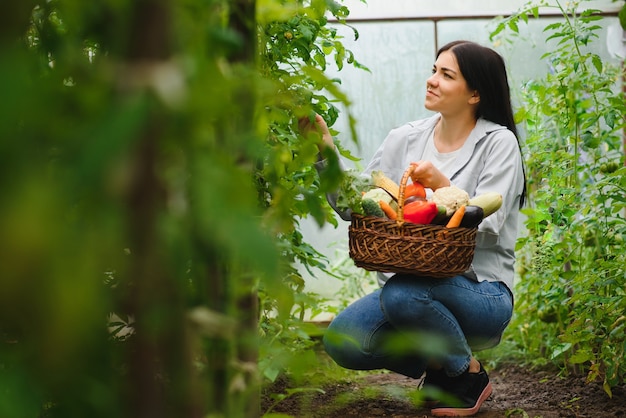 Mujer joven recogiendo verduras de invernadero