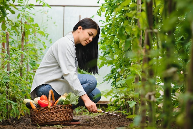 Mujer joven recogiendo verduras de invernadero