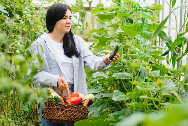 Mujer joven recogiendo verduras de invernadero