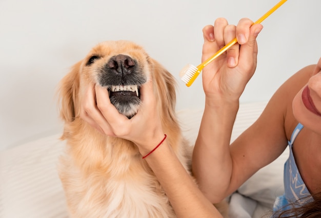 Mujer joven rizada en pijama cepillarse los dientes de golden retriever