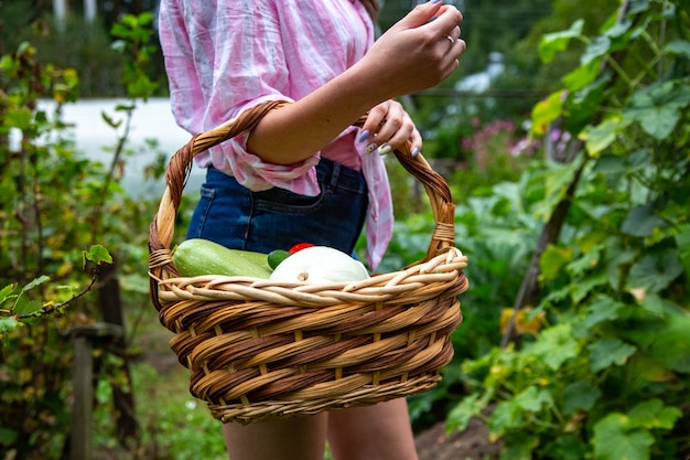 Mujer joven sin rostro mantenga la cesta con la cosecha de su granja, frutas y hortalizas frescas