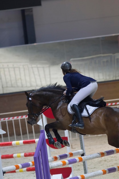 Mujer joven en el semental negro saltando por encima del obstáculo en la competencia de salto