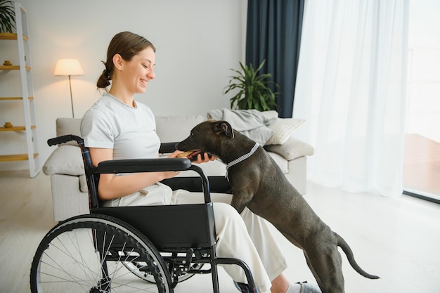 Mujer joven en silla de ruedas con perro de servicio en casa
