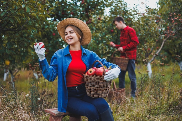 Mujer joven con sombrero en un huerto de manzanas Mujeres con sombreros recogen manzanas rojas en una canasta en el fondo de la naturaleza Cosechando manzanas en el jardín La temporada de otoño en el huerto