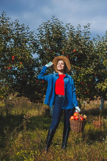 Una mujer joven con un sombrero, una trabajadora en el jardín, lleva manzanas rojas maduras en una cesta de mimbre Cosechando manzanas en otoño