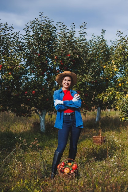 Una mujer joven con un sombrero, una trabajadora en el jardín, lleva manzanas rojas maduras en una cesta de mimbre Cosechando manzanas en otoño