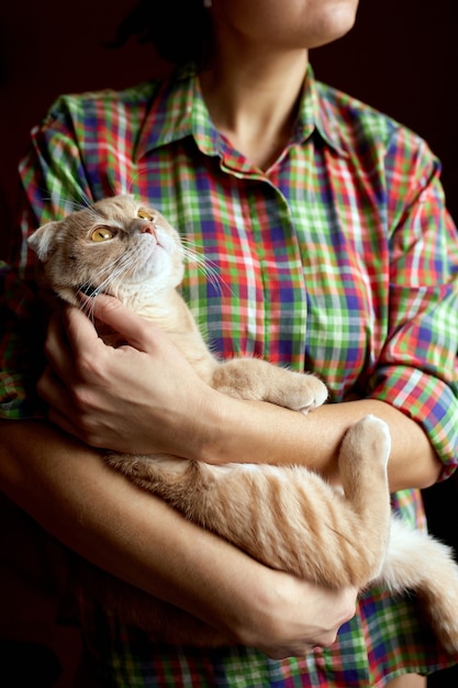 Foto mujer joven, tenencia, un, gato, en, manos