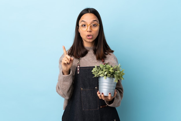 Mujer joven, tenencia, un, planta