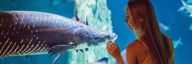 Mujer joven toca un pez raya en un formato largo de pancarta de túnel oceanario