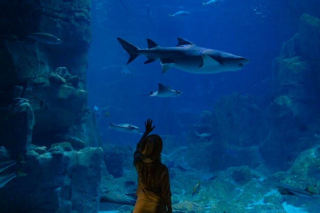 Foto una mujer joven toca un pez raya en un túnel del oceanario