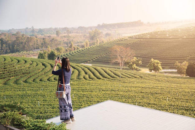 Mujer joven toma una foto con una plantación de té