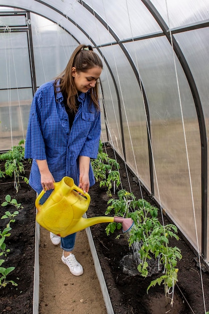 Mujer joven trabaja en un invernadero regando verduras