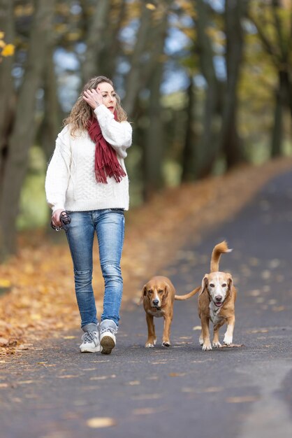 Una mujer joven con un traje de otoño está paseando a dos perros en el parque.
