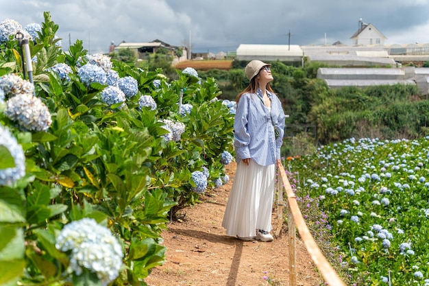 Mujer joven viajera disfrutando con el jardín de hortensias en flor en Dalat Vietnam Concepto de estilo de vida de viaje