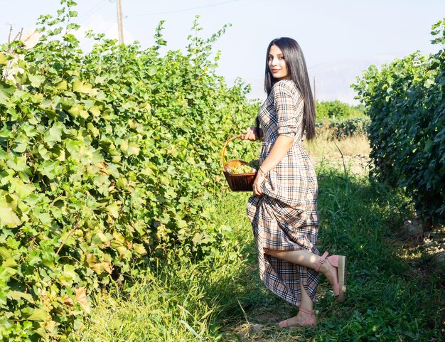 mujer joven en el viñedo mujer bonita en la naturaleza