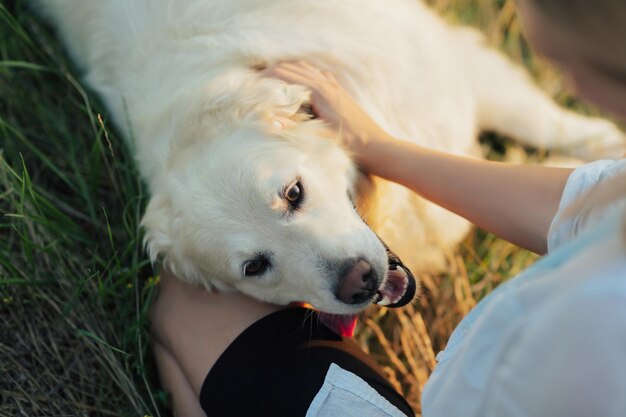 Mujer jugando con un lindo golden retriever