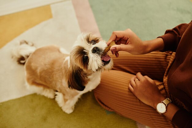 Foto mujer jugando con lindo perro