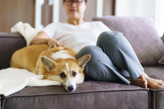 Mujer jugando con su perro en casa encantador corgi en el sofá en la sala de estar