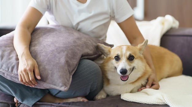 Mujer jugando con su perro en casa encantador corgi en el sofá en la sala de estar