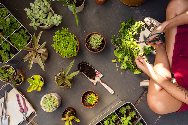 Foto mujer laica plana cuidando las plantas