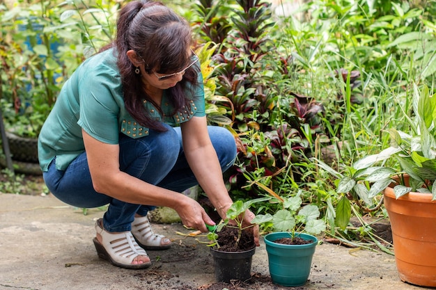 Una mujer latina mantiene las plantas de su jardín cuidando y dando nueva tierra a sus macetas