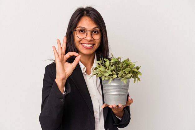 Mujer latina de negocios joven sosteniendo plantas aisladas sobre fondo blanco alegre y confiado mostrando gesto ok.