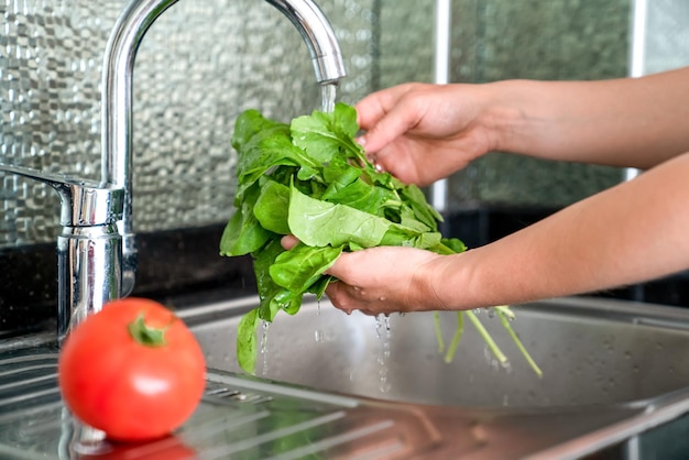 La mujer lava las espinacas frescas sobre las manos del fregadero y el primer plano de la vegetación