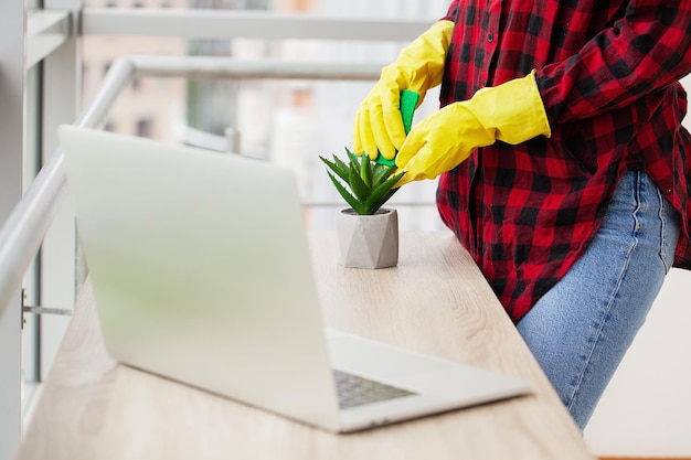 Mujer limpiadora limpiando con un trapo las hojas de las plantas en la oficina