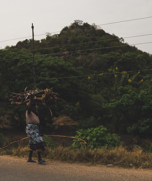 Foto mujer llevando troncos mientras camina por la carretera por las montañas