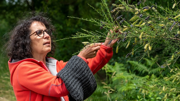 Mujer madura recogiendo bayas en seto