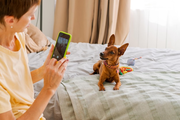 Mujer madura con un teléfono en la mano con un pinscher pigmeo en el dormitorio