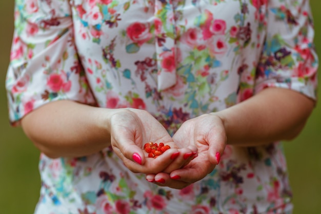 Mujer con una mano llena de fresas silvestres