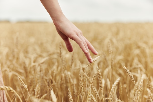 Mujer manos campo industria cultivo día soleado