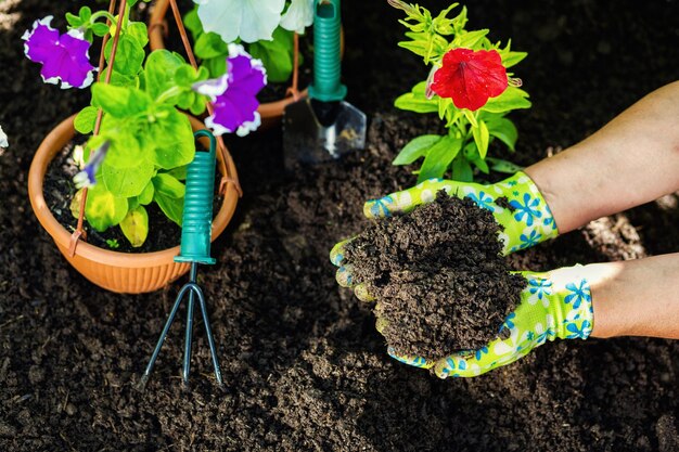 Mujer manos floristería trabajando en invernadero con herramientas de jardinería