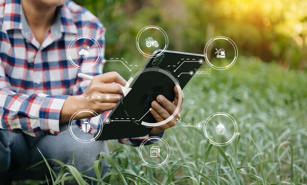 Foto mujer manos jardinería lechuga en la granja con proceso de crecimiento y fórmula química en fondo verde con icono visual