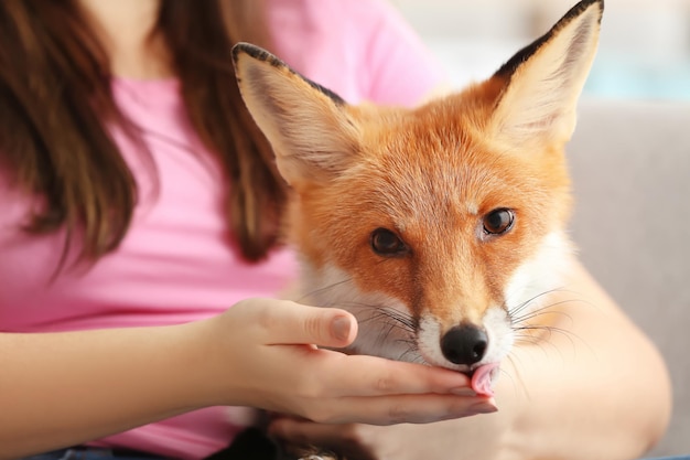 Foto mujer, con, mascota, fox, interior, primer plano